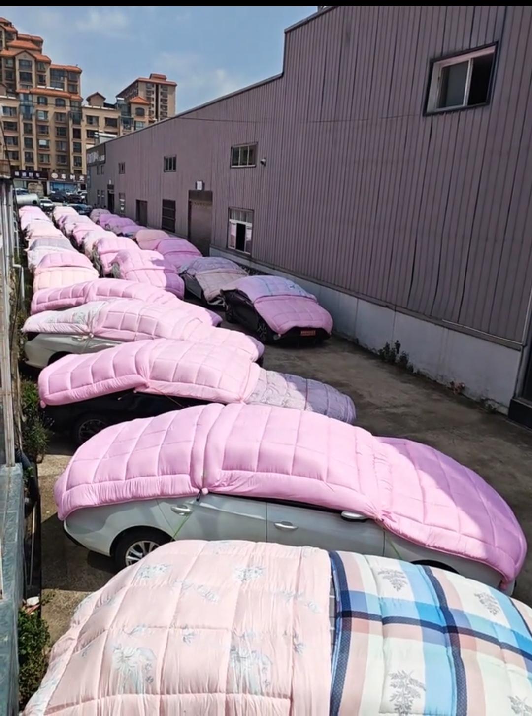 云南十八怪，汽车盖着被子卖！

这不是非要给车辆穿被子，这是近几天预报说可能有强