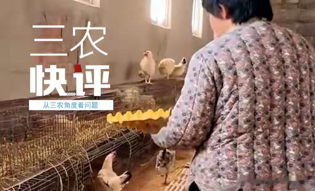 河南长垣养鸡夫妻一夜爆红！36万枚鸡蛋卖出36万元天价，背后竟藏“国字号”财富密