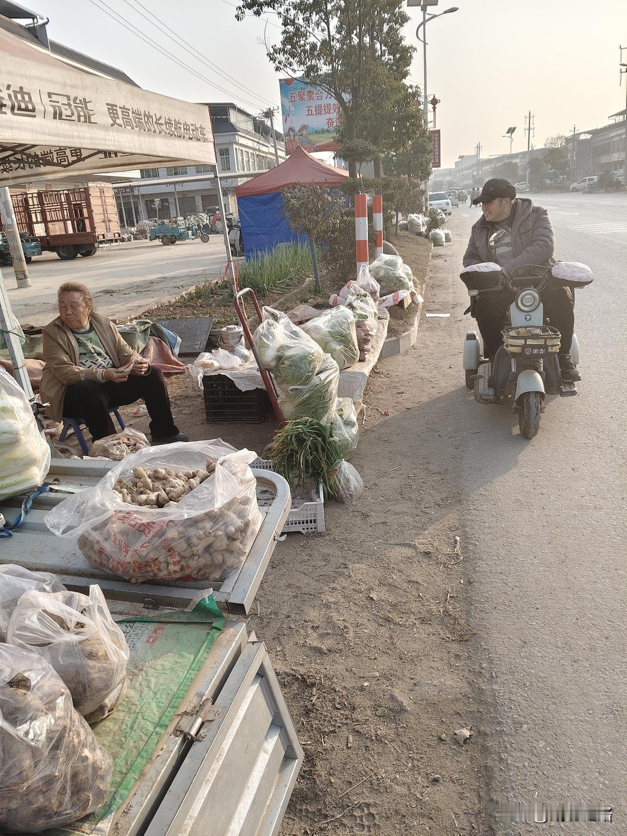 今早骑小电驴出门，刚拐到镇口，就瞅见王阿姨的早摊支在老地方了。塑料布裹着的嫩姜堆