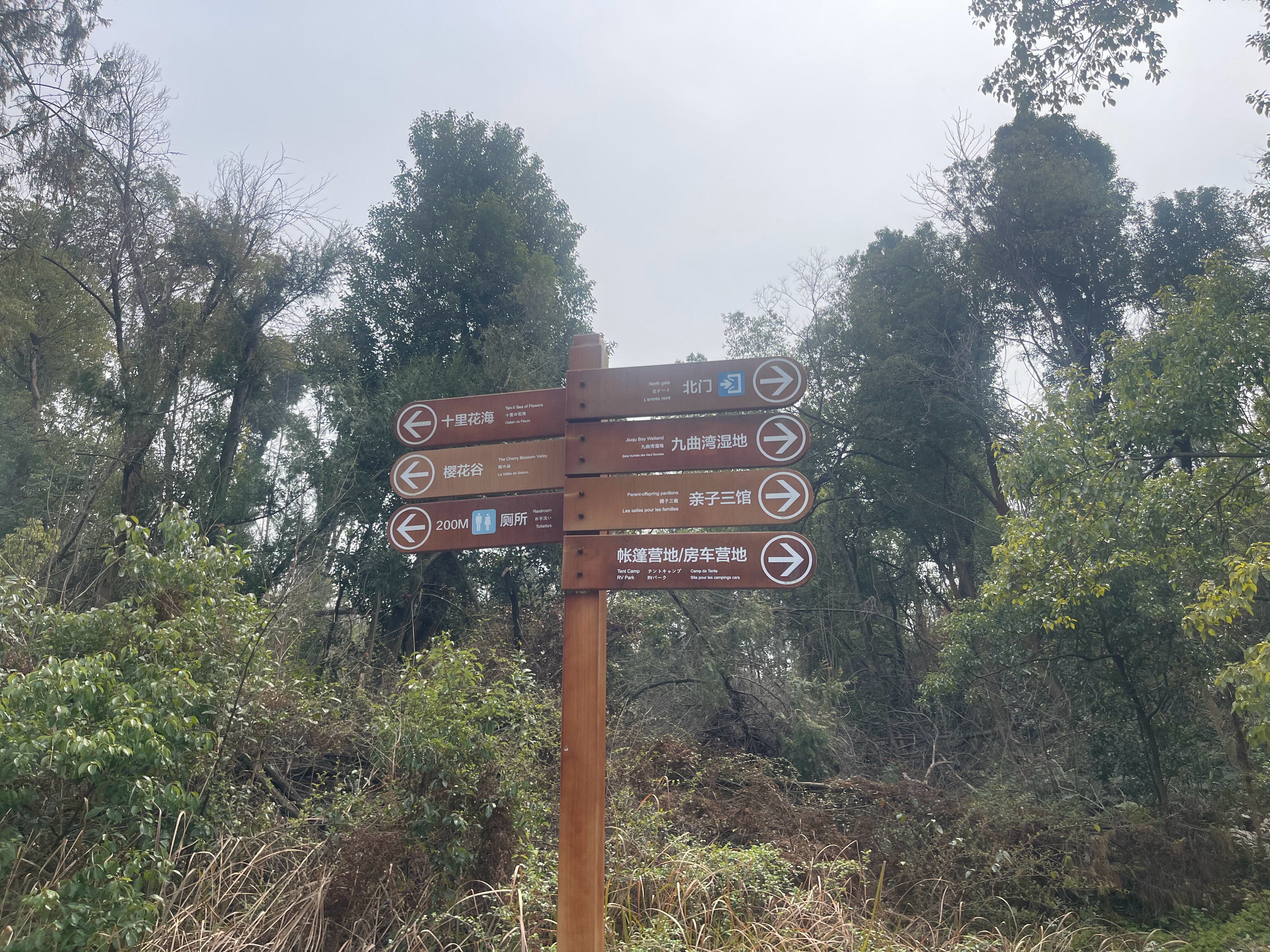 装病逃学过来爬山，等会我就发给老师，明天一顿竹笋炒肉少不了！ 武汉·龙灵山生态公