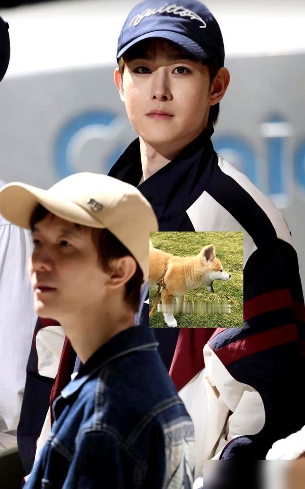 十年合约一到期，汪铎扭头就和魏哲鸣平起平坐了。郭敬明这十年，算是白忙活了。
你