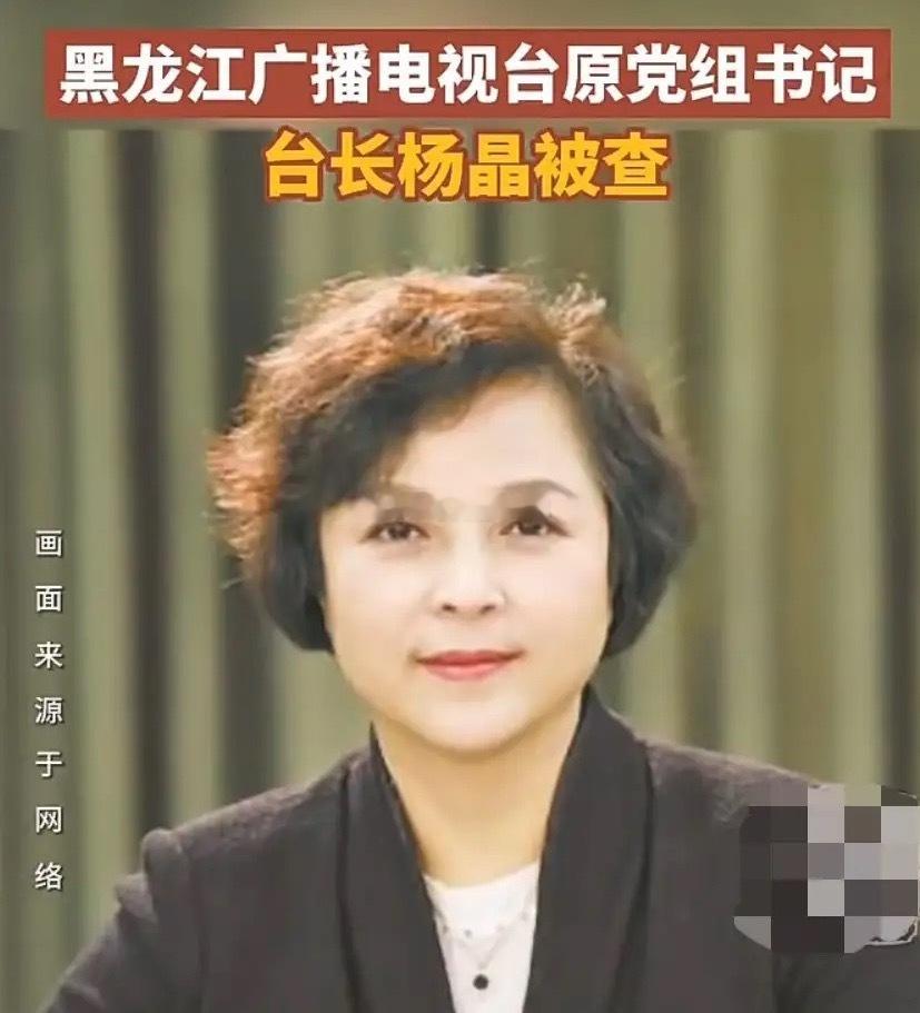 五一假期来临之际，黑龙江广播电视台的杨晶接受调查！她出生在1963年，学历很高，