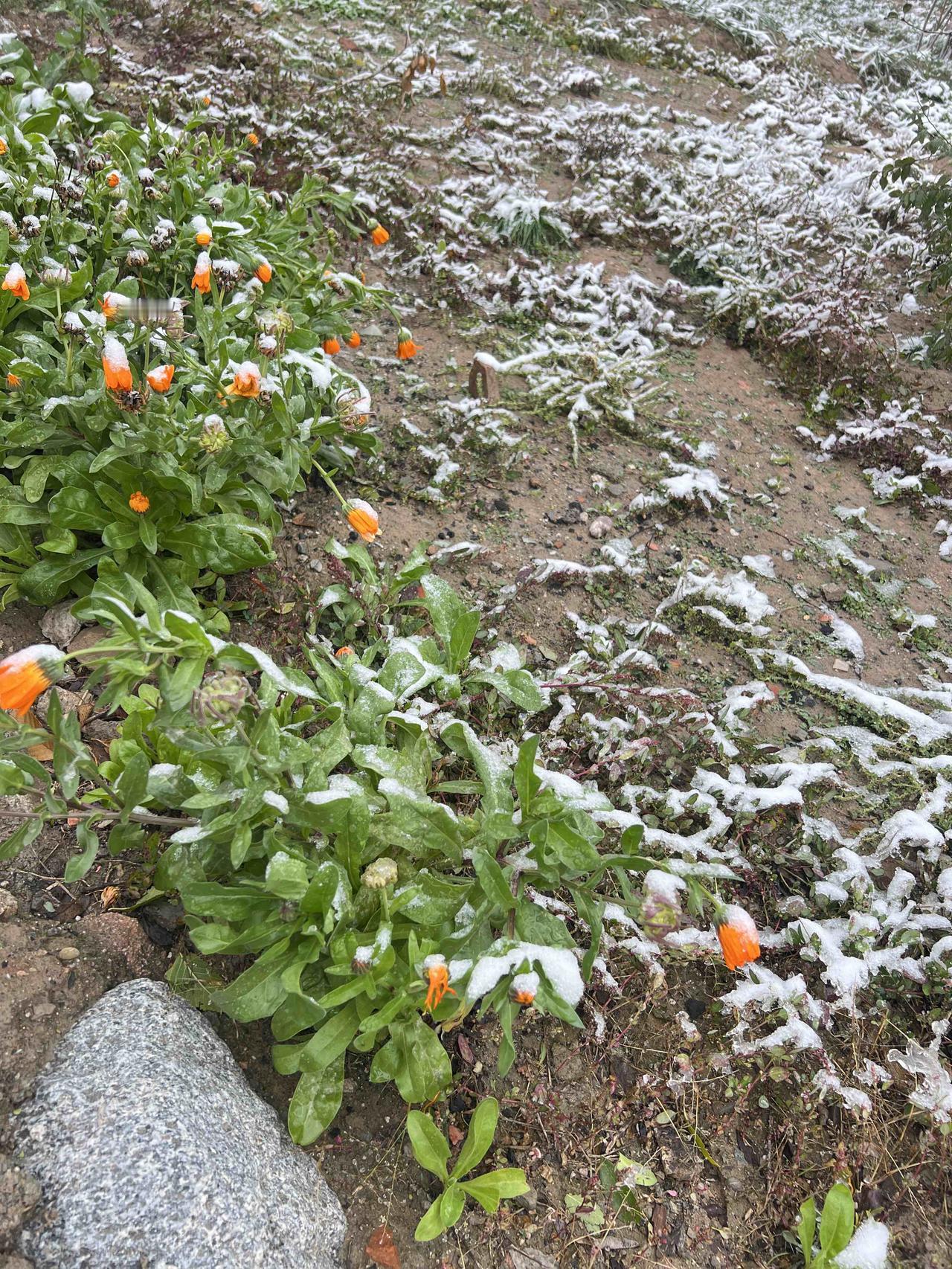 前一段别人介绍的相亲对象，各个方面都还不错，就是，朋友太多，整天下班后就开始聚会