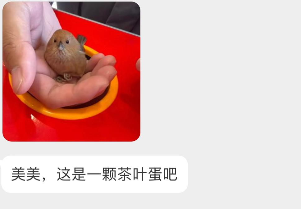 像茶叶蛋的【棕头鸦雀】圆圆的一枚！ ​​​