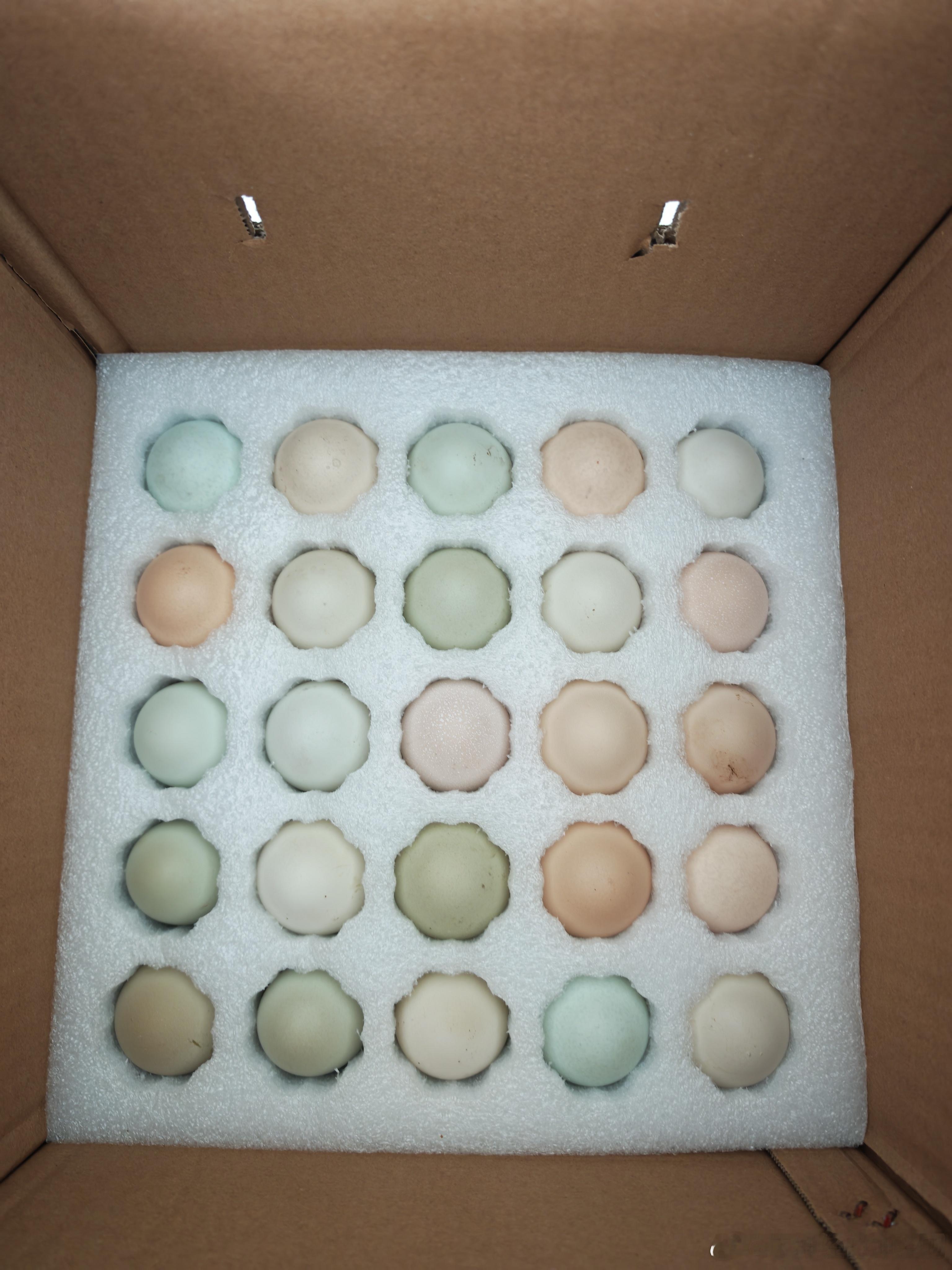 叨妈妈最近给我寄了100个土鸡蛋过来，这就是她为啥要辛辛苦苦的种玉米棒子，然后辛
