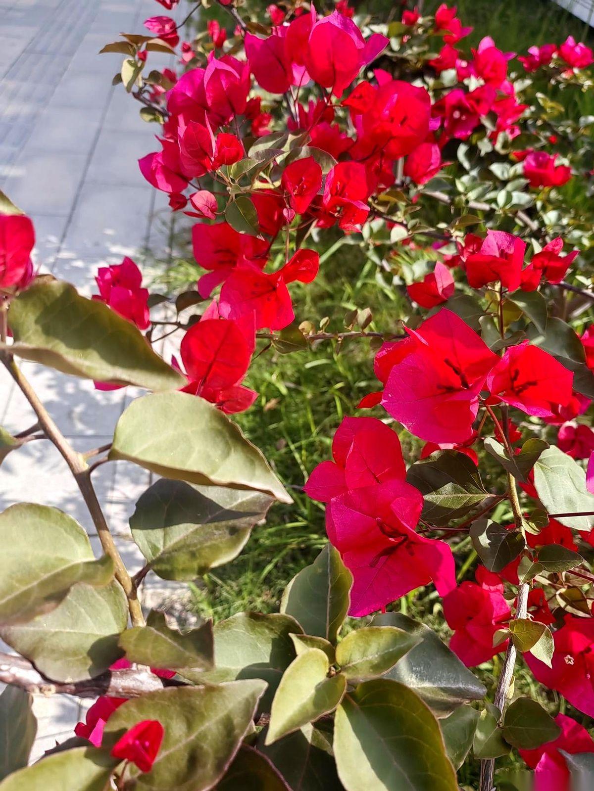 二婚的饭桌上，最怕对方手机突然亮一下，屏幕上弹出来一条转账五千的记录。
你这边刚