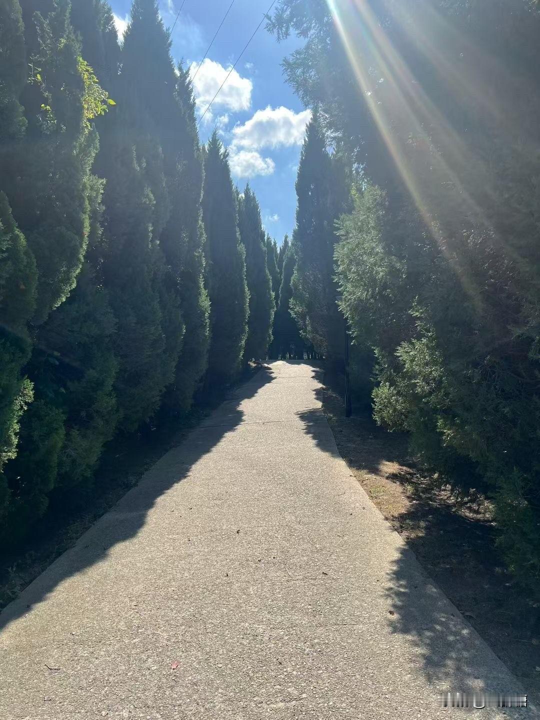 “一家不容三姓，一屋不住三辈人”，这老话我奶奶都懂。子女成了家，分开住，是对彼此