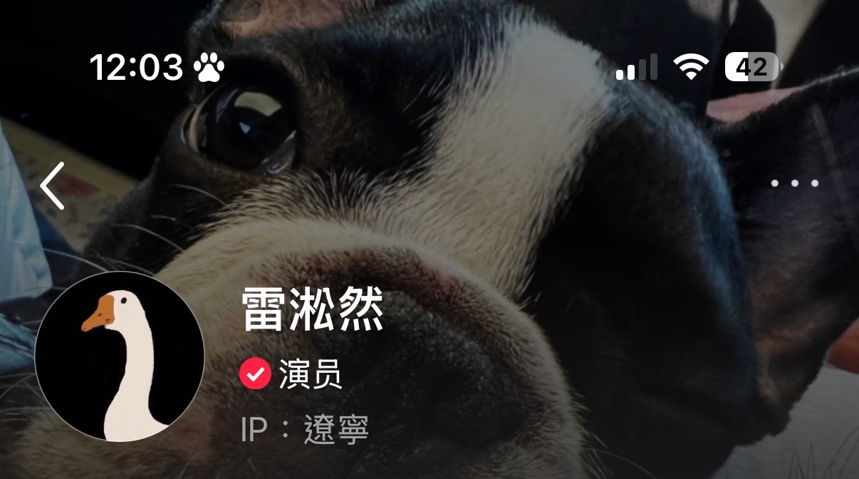 回沈阳了心情好了宠粉了全世界最恋家之人雷淞然 