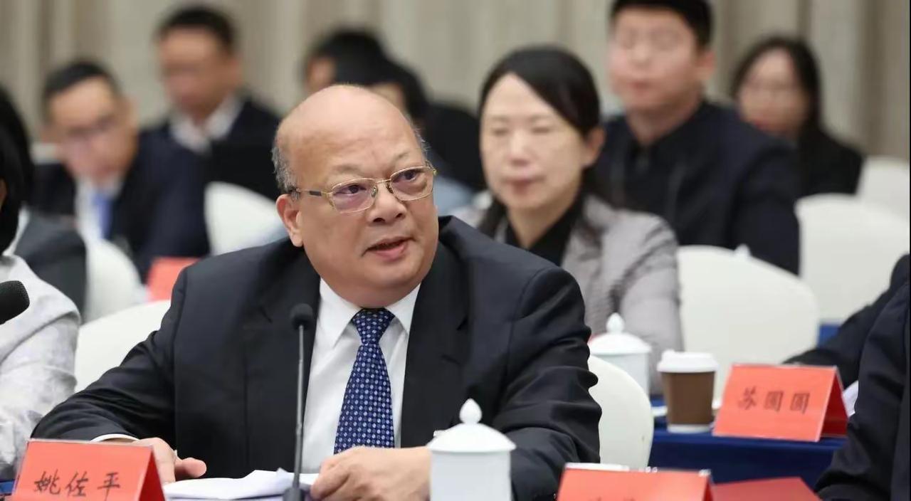 2026年全国两会，北京现场，上汽通用五菱党委书记姚佐平直戳痛点：中国汽车刚从电