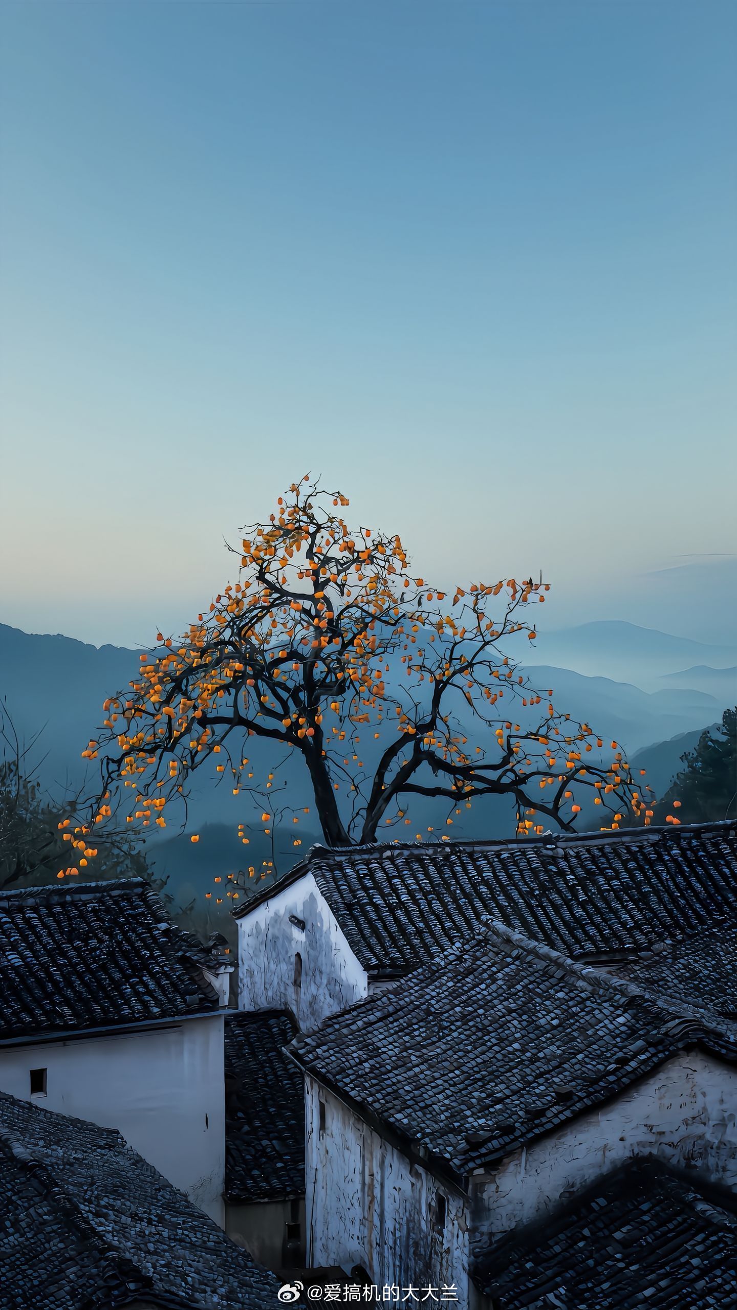福利帖：明日私发红包给粉丝，附带好看壁纸一张ios26裸眼3D壁纸 ​​​