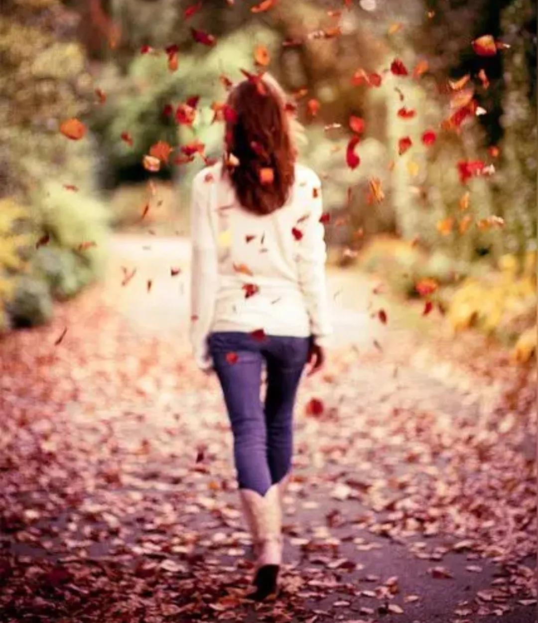 一首歌曲
一段文案
一瞬间美了眼
醉了心
入了耳
渡心
渡情
渡时光