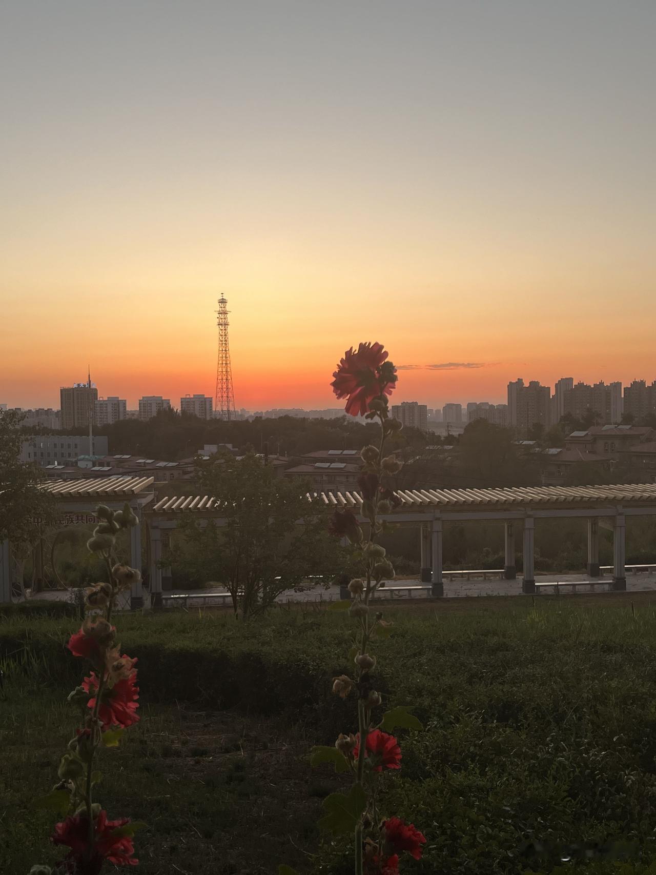 倚在暮色里
望天边的云海
山峦若隐若现
树叶随风摇动
邂逅在黄昏的温柔里
让一丝
