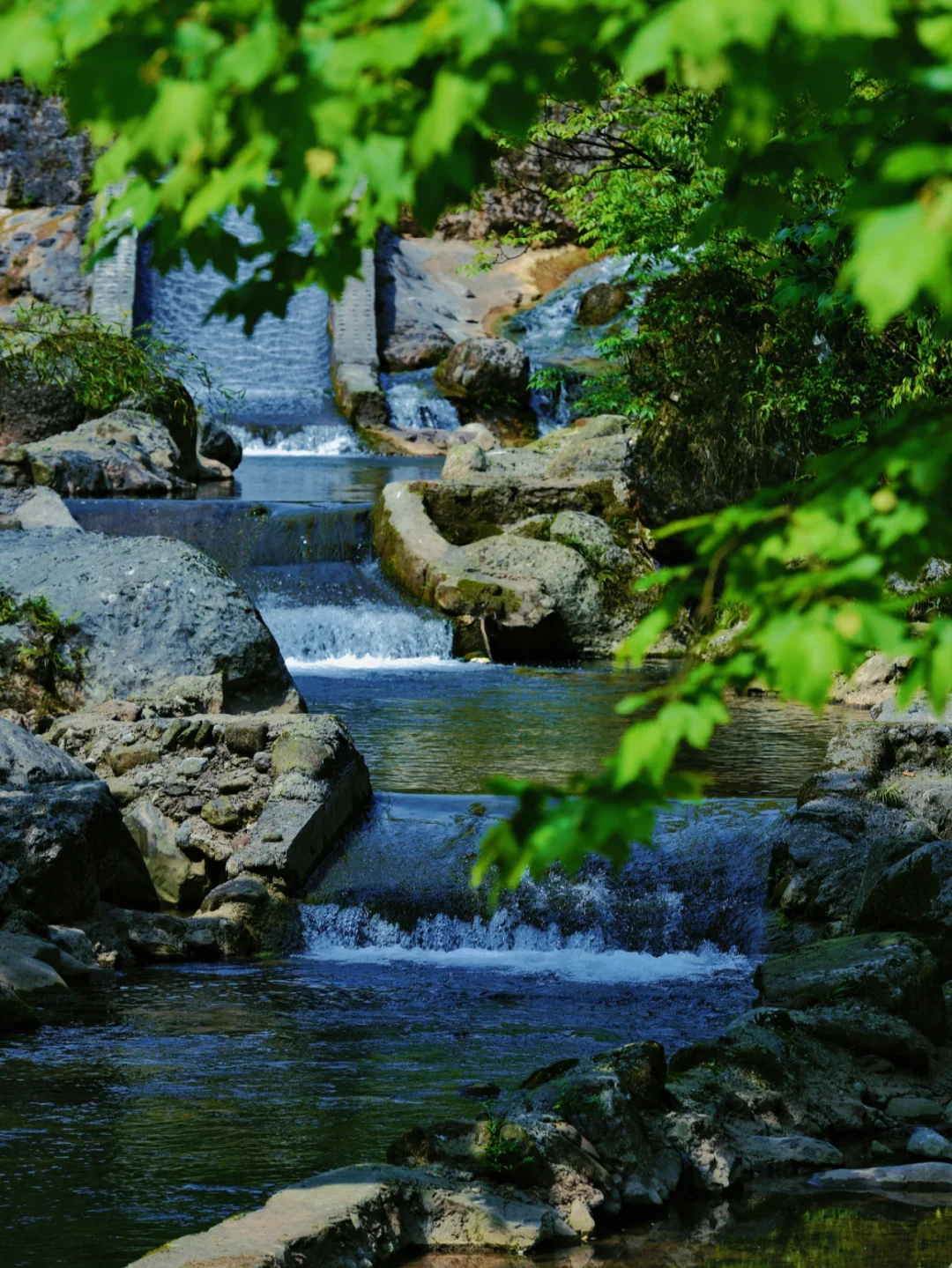 成都近郊玩水露营｜徒步满眼葱翠的溪流峡谷