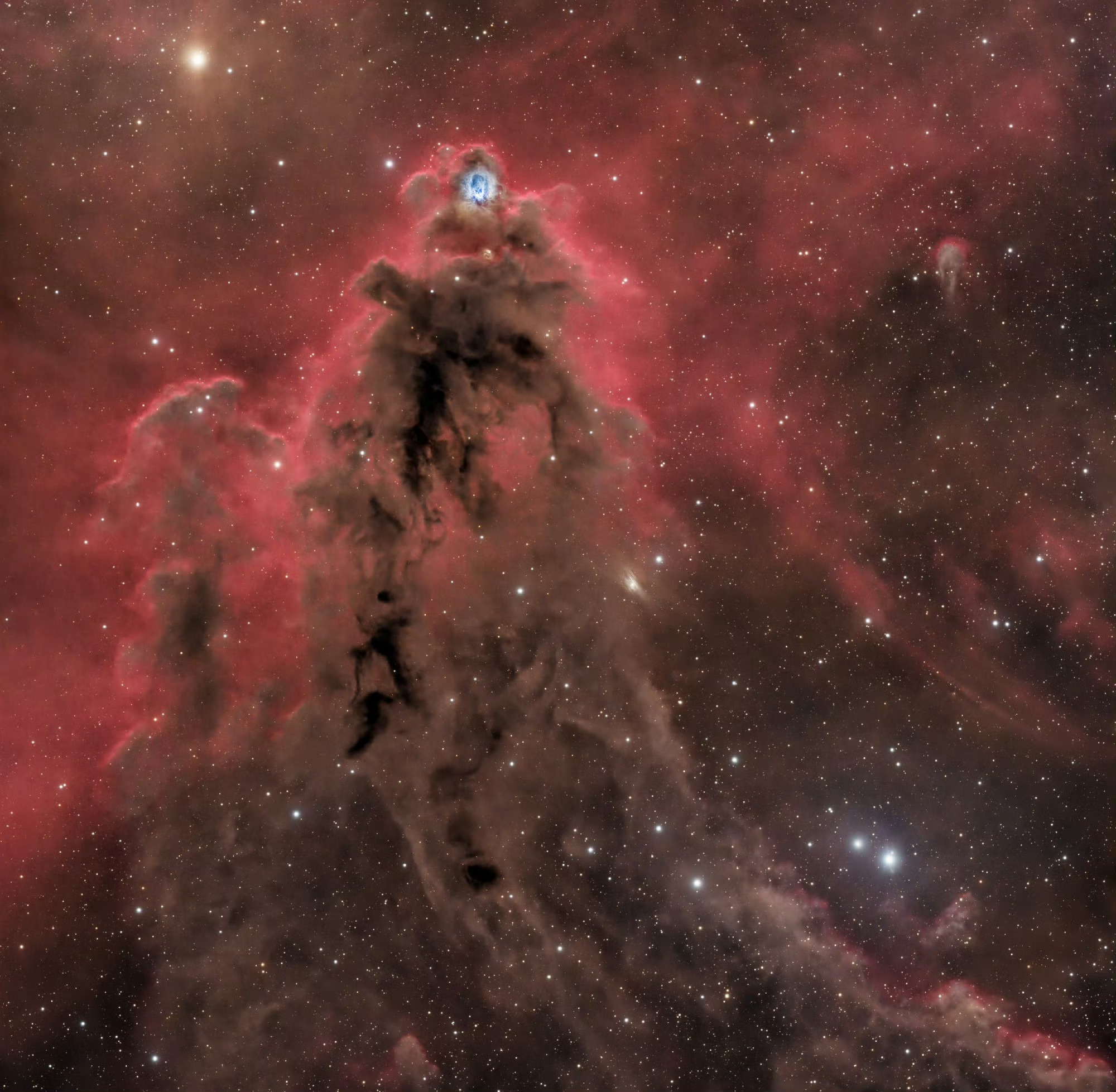 #每天一天文图# 在猎户座分子云复合体的天体剧场中，LDN 1622 以“妖怪星
