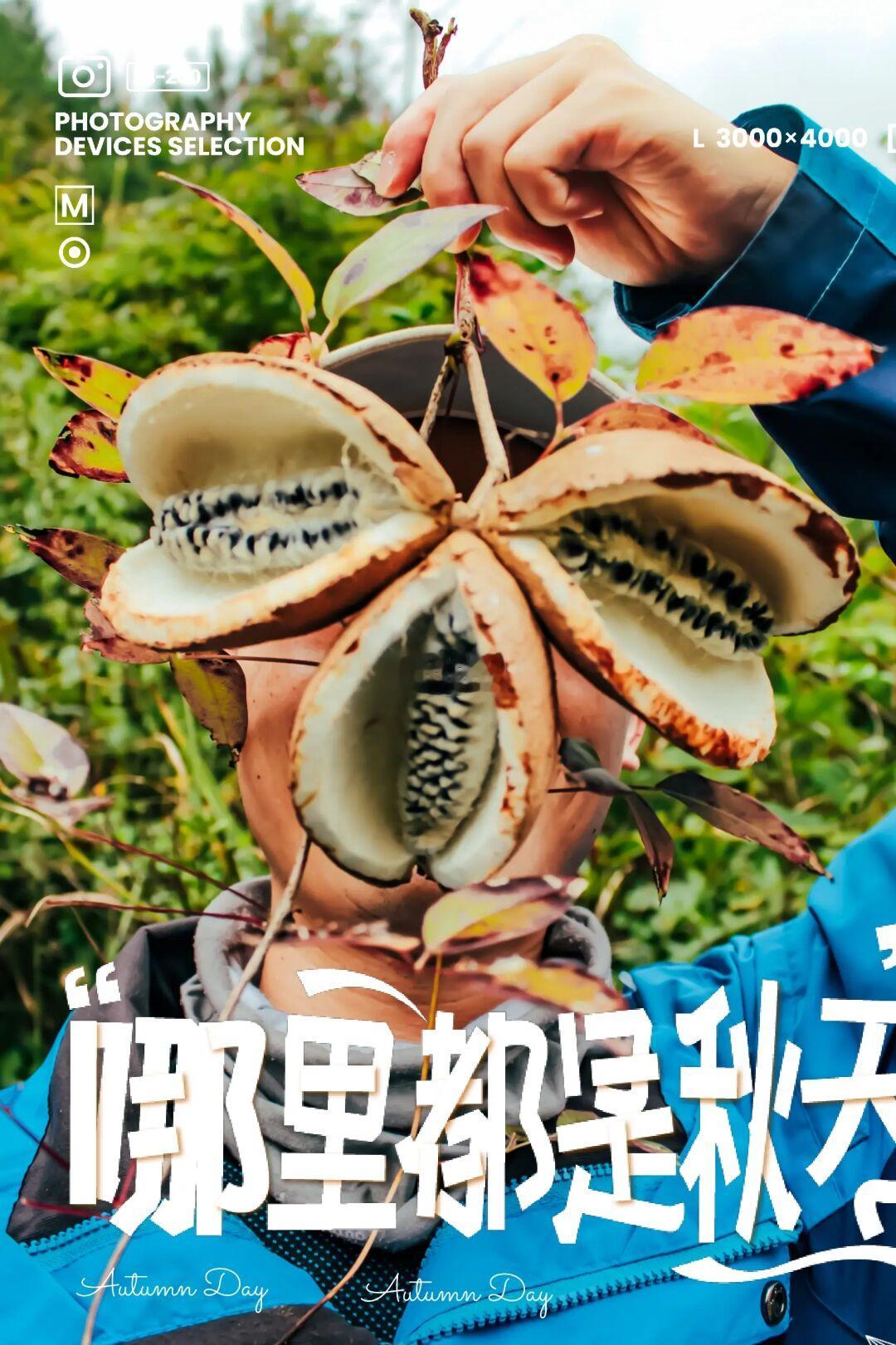 徒步踏秋地图Ｉ秋天走进贵阳周边的自然