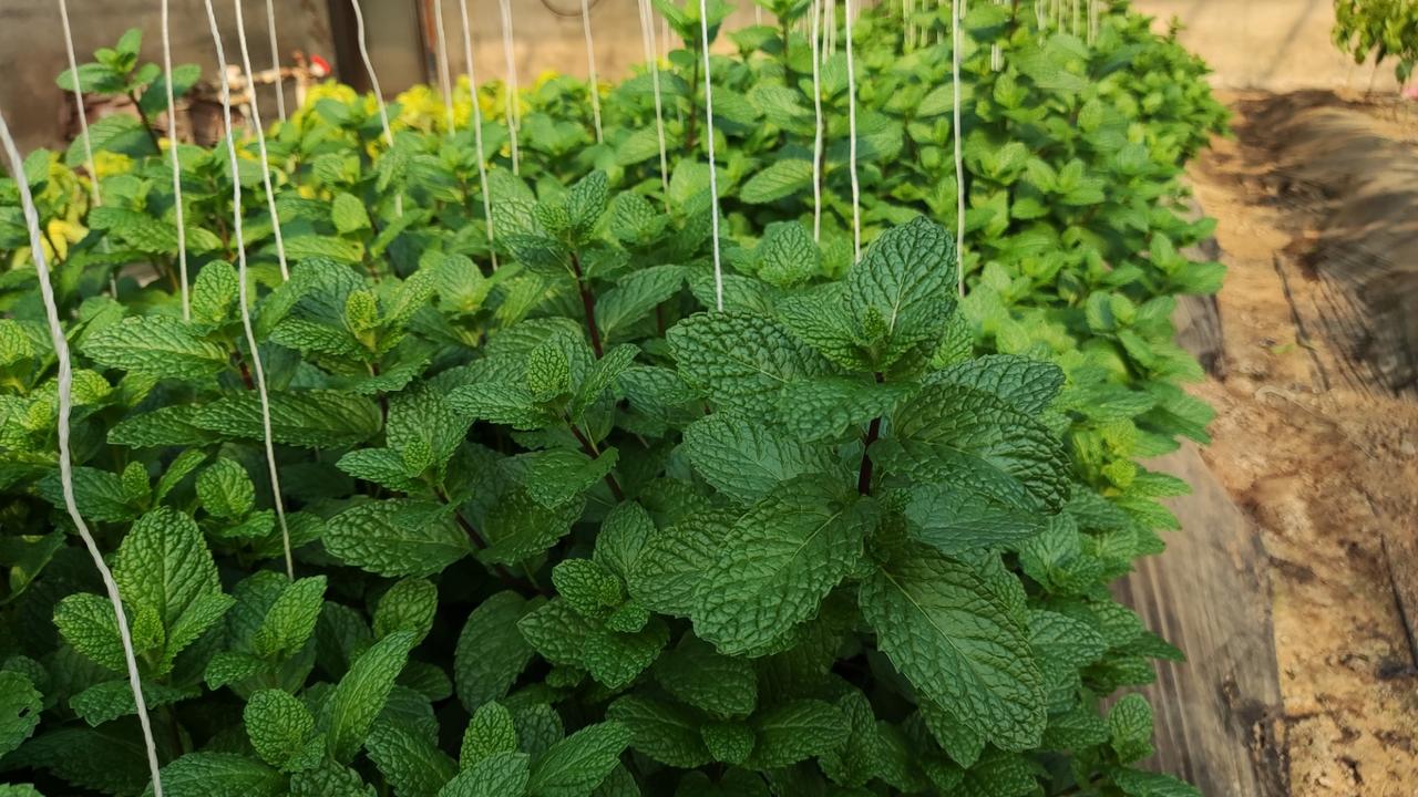 记录我的2026纯粹的美～