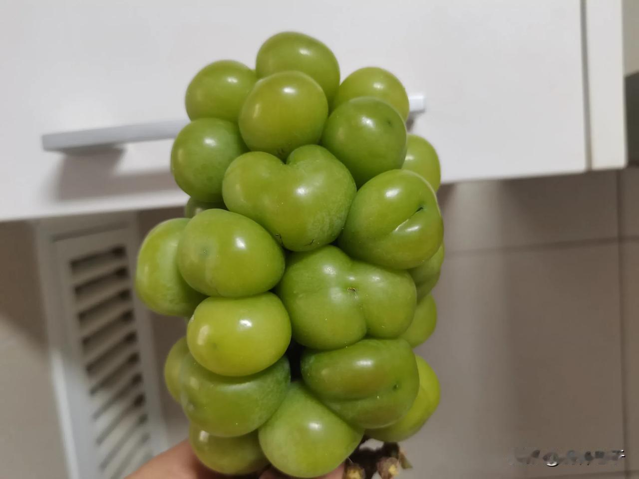 都说现在的人，病多[苦瓜][苦瓜]看看今天在水果店买的晴王🍇，都挤变形了[伤心