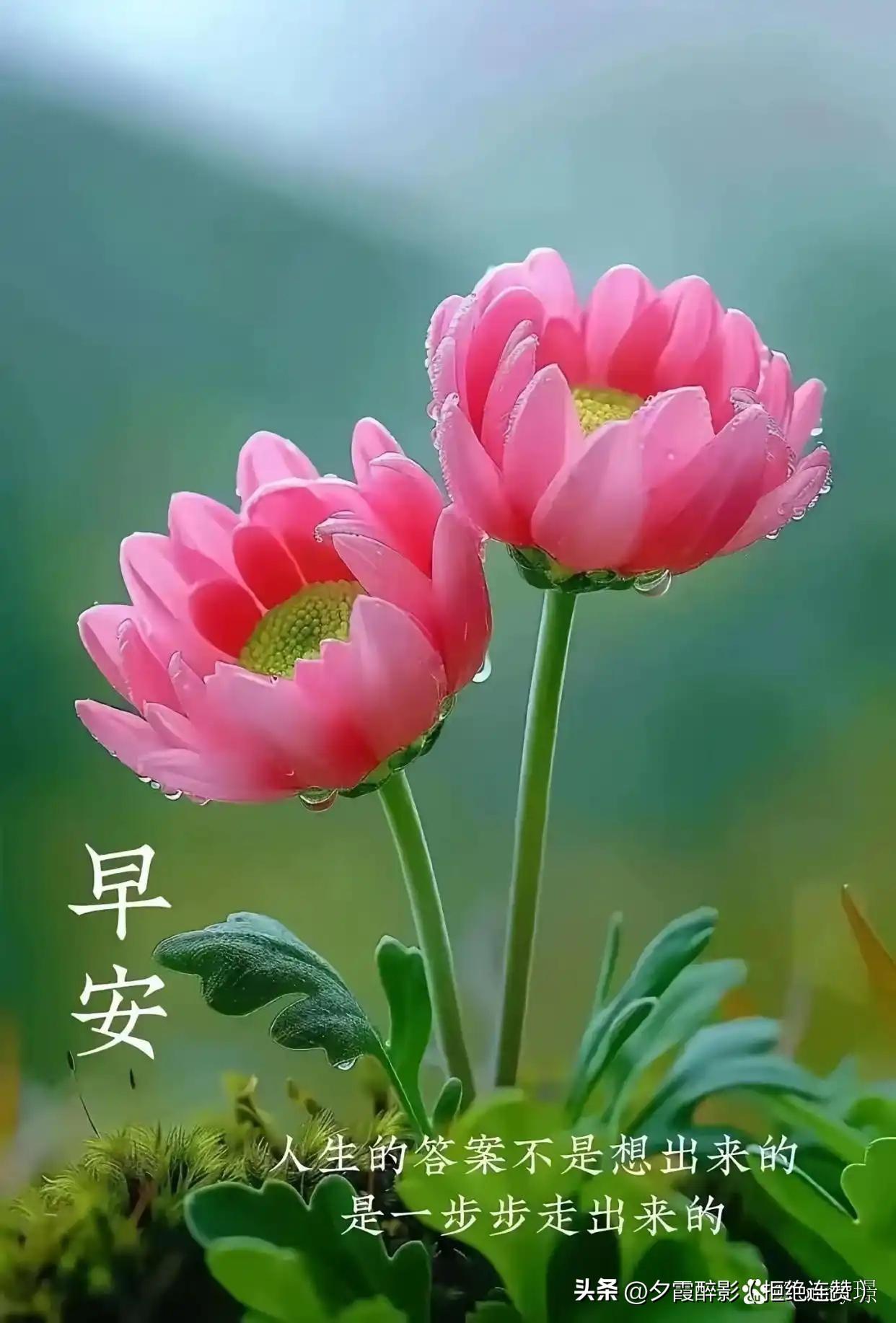 下雨天：
风还在刮，
雨还在下，
心里喊练拳，
身却床上趴，
再去周公那，梦里把