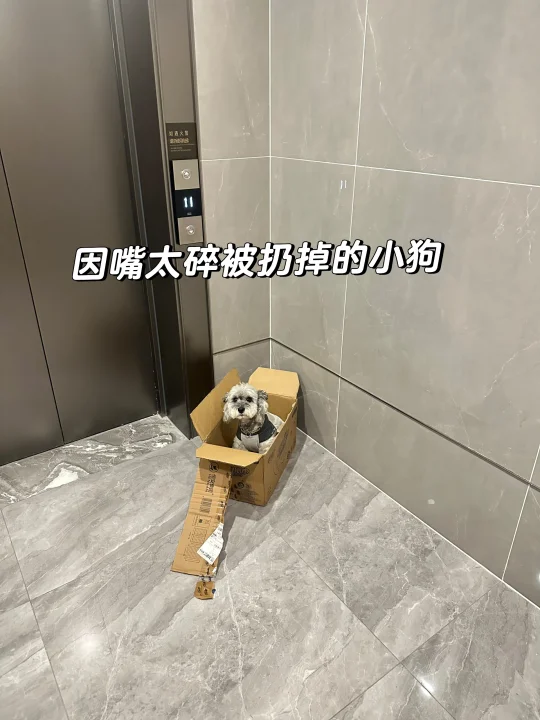 哪个小狗整天骂骂咧咧啊