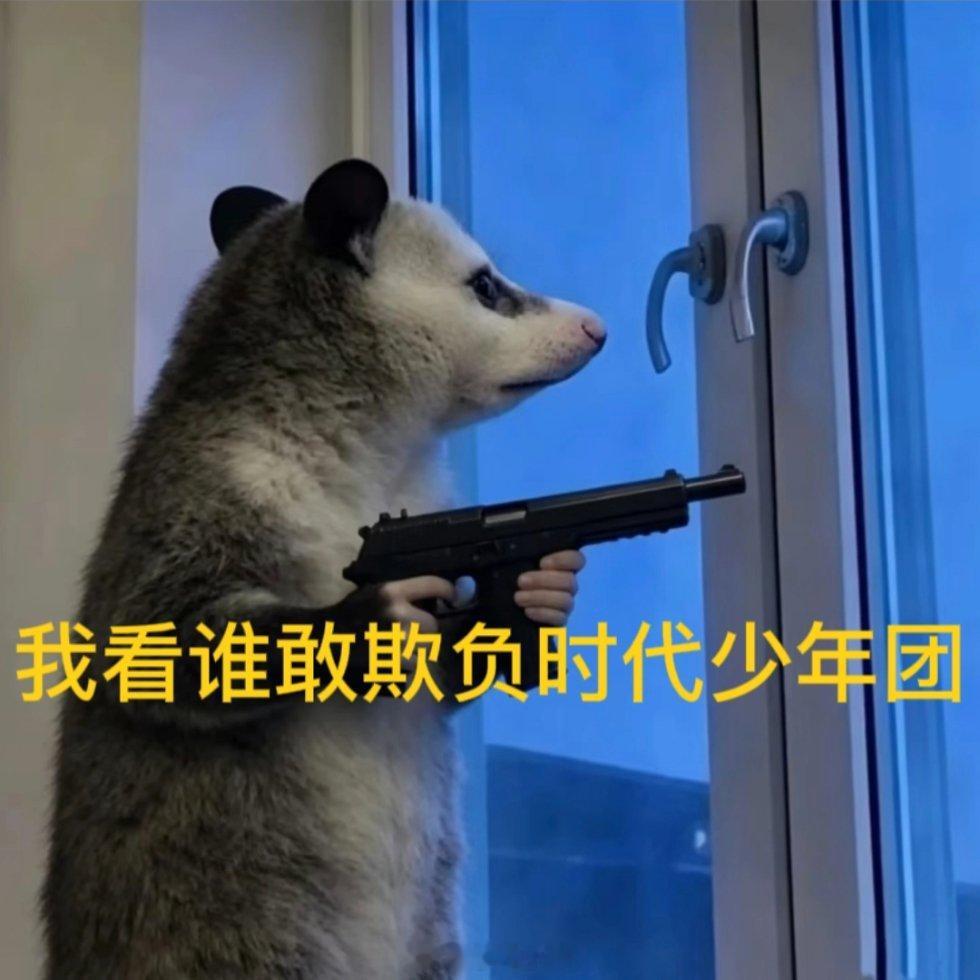 最近火起来的负鼠表情包必须要带上时代少年团啊🌝 