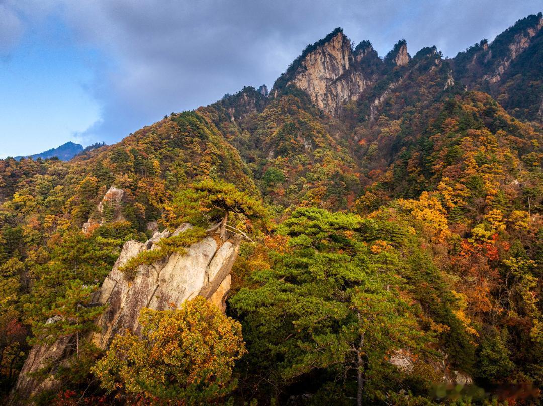 万里江山秋色浓，层林尽染入画来～ ​​​