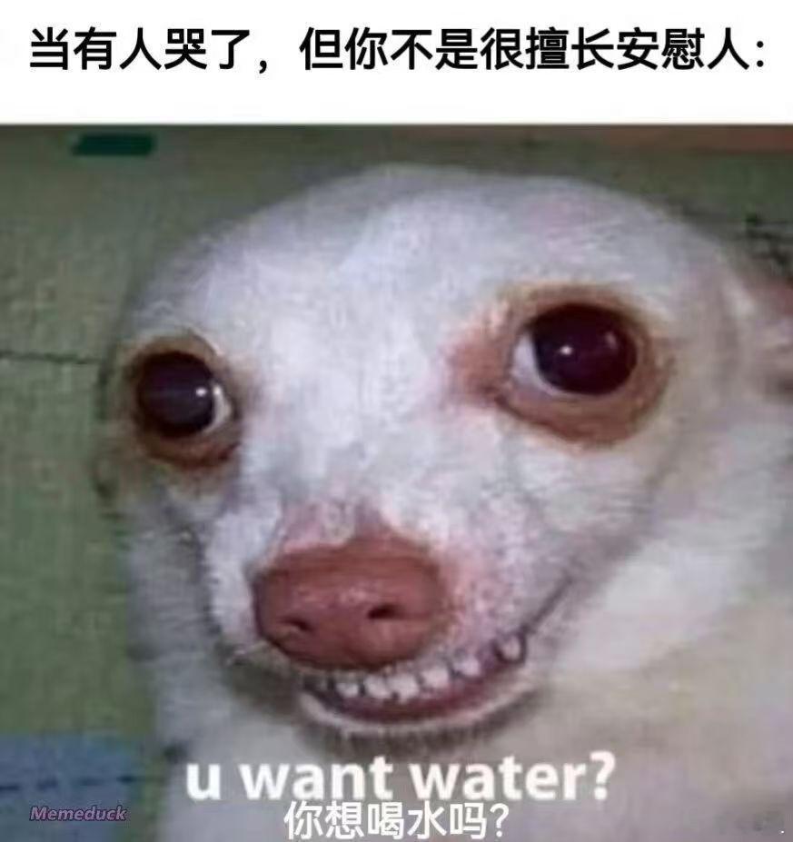 一点了没睡的人在干嘛 