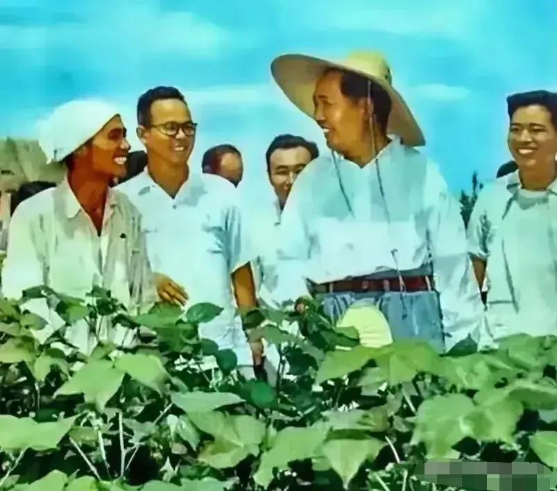 🍀请停留几秒，为伟人点个赞送朵花💐
《颂伟人毛泽东》
在历史的长河中回望，