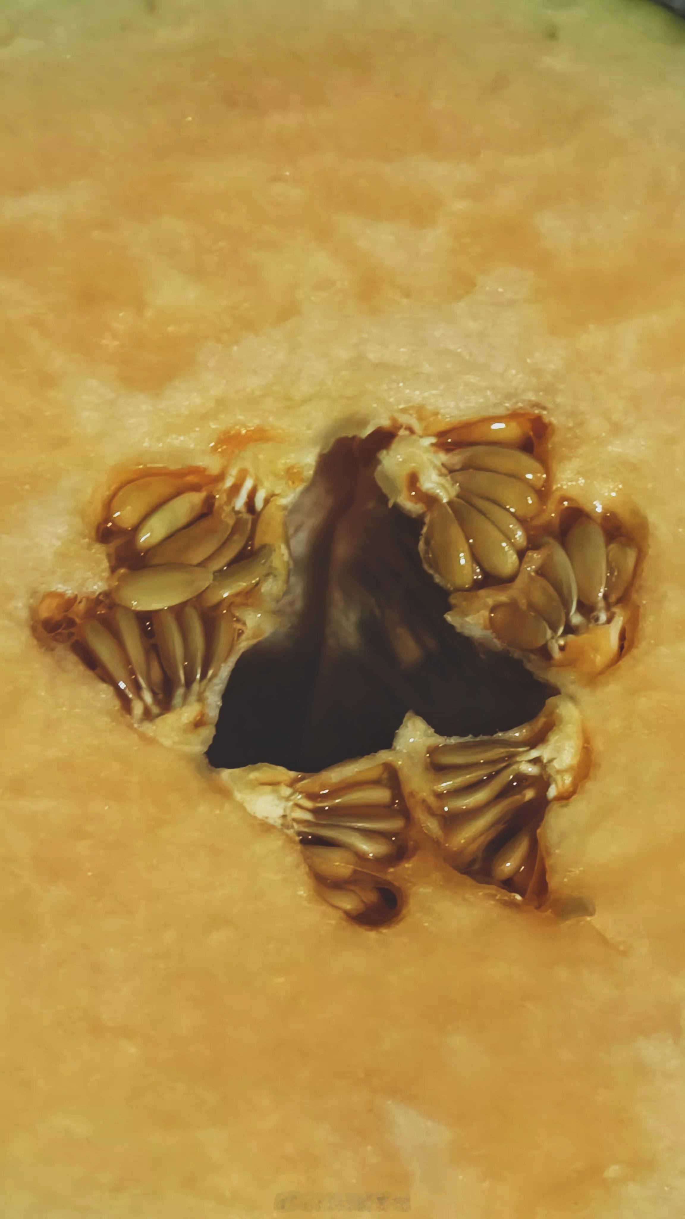 买到临期打对折蜜瓜 