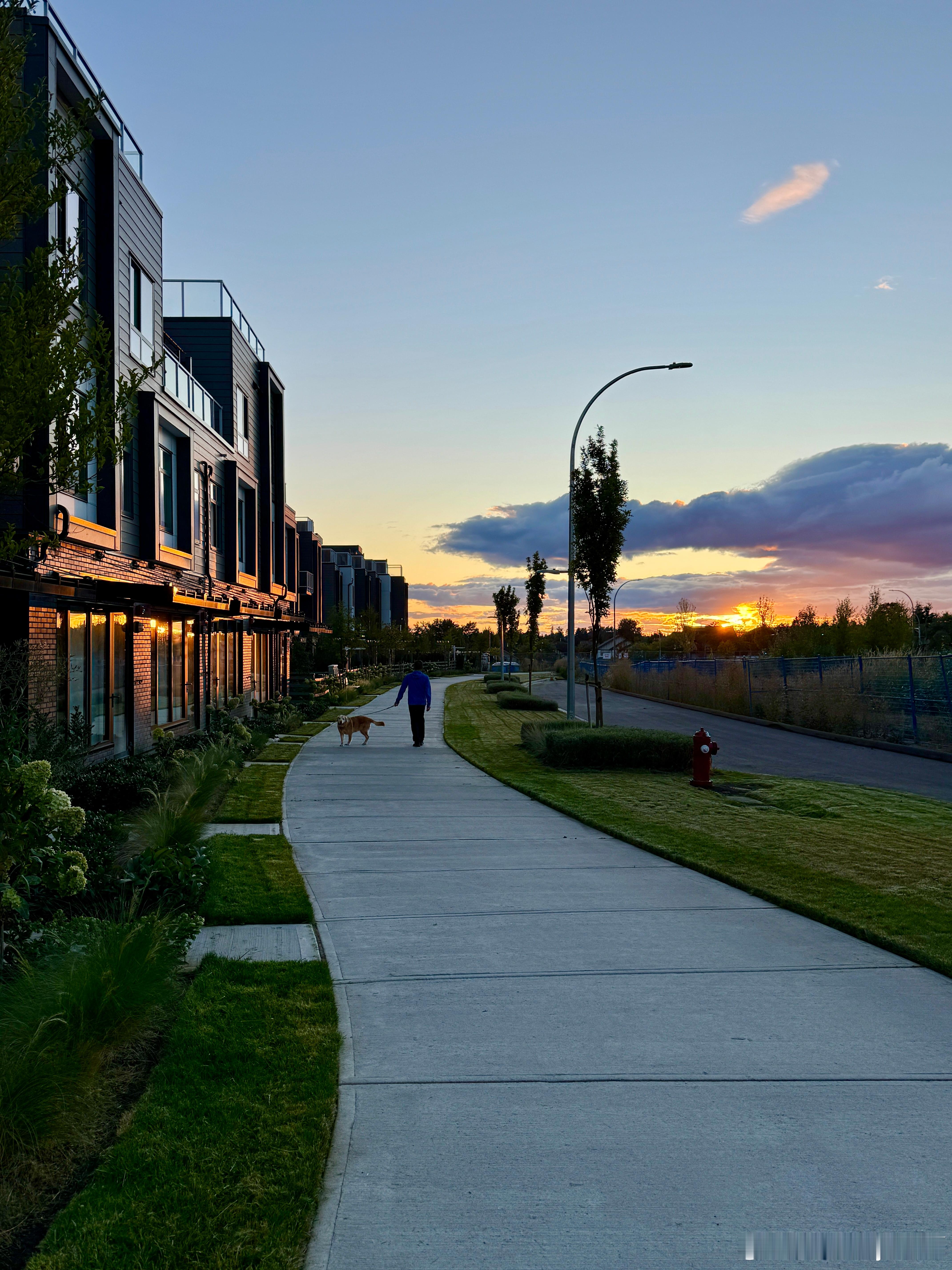 晚餐后牵着Sunny散步。夕阳落在街角。暮色渐起。海外生活夕阳 ​​​