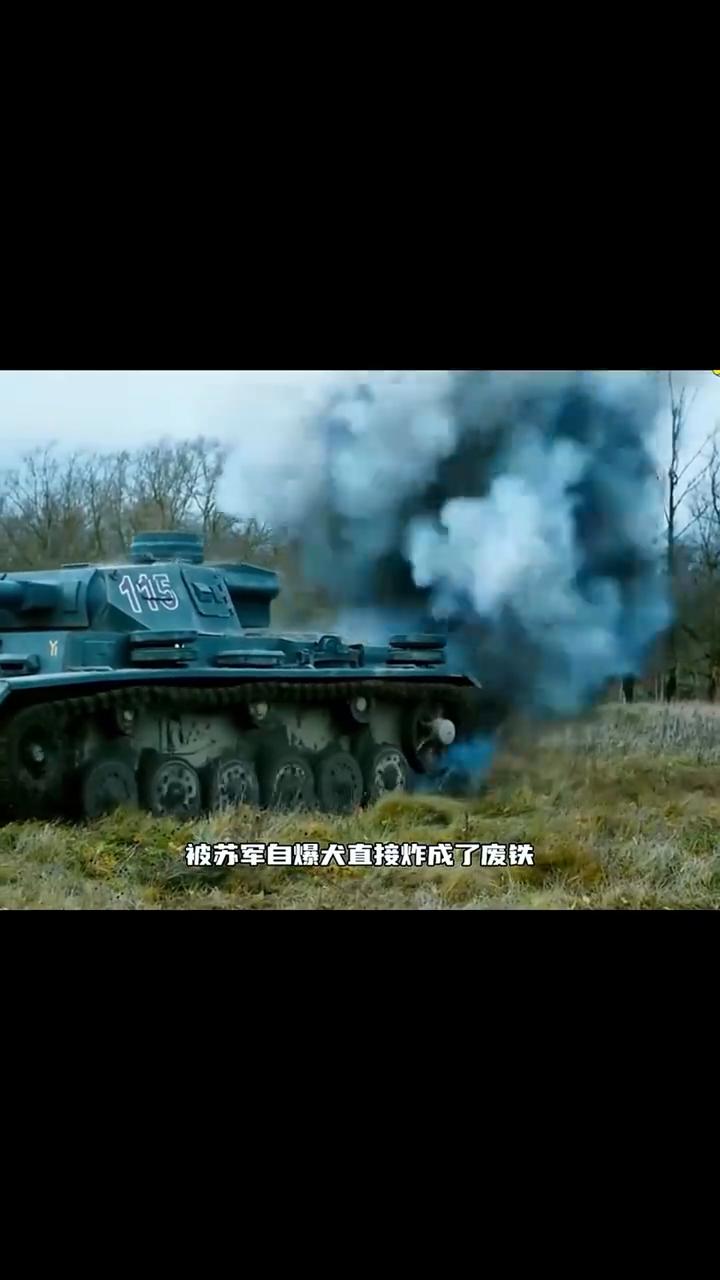 一只苏军自爆犬冲向德军坦克，突然停在德军坦克前趴下。眼看德军坦克即将碾压自爆犬，