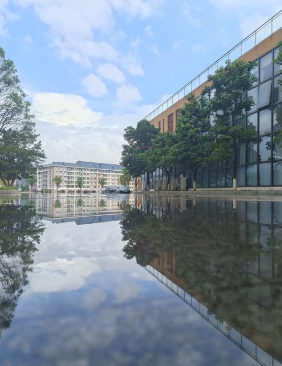 中国人肉背空调飞巴黎
亲爱的朋友们大家好，我是海林小百科，今天我们来看看，国人带