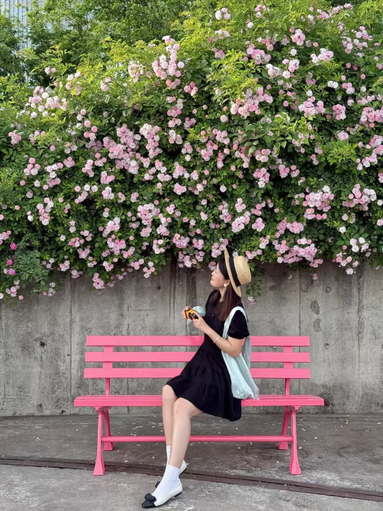 是心动啊💓杨浦滨江的蔷薇花墙开啦！