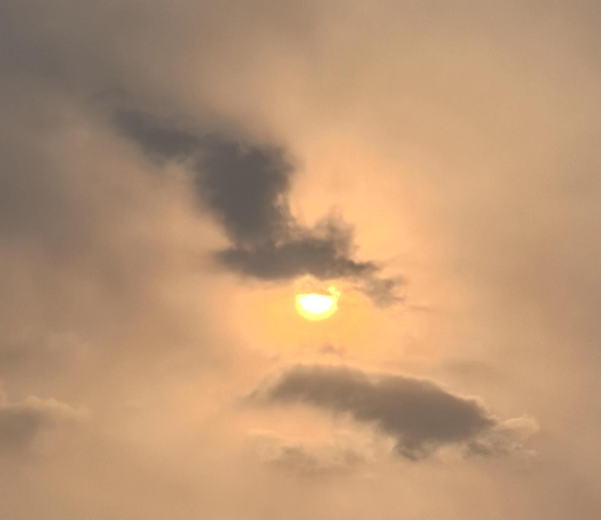 这张照片看起来好有味道，友友们给起个名字吧！