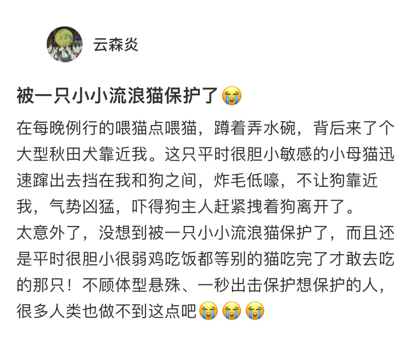 被一只小流浪猫保护了[苦涩]万物皆有灵，世界上不能没有小猫！！ ​​​