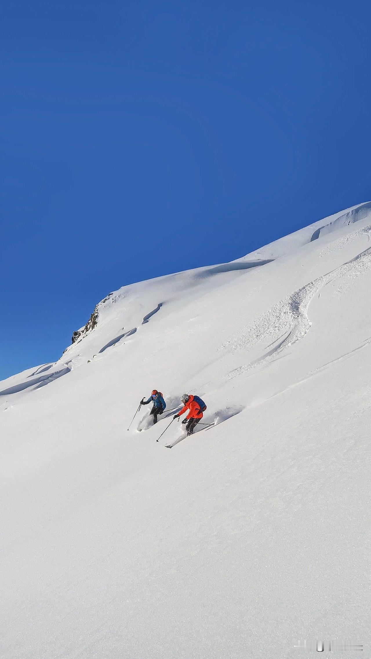 2026最想实现的一件事 2026年，我最想实现的就是来一场南极洲之行。想象一下