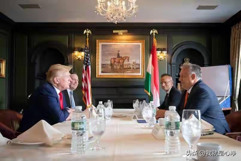 千万别把老实人欺负的太狠了，欧尔班不愿意掀桌子，不代表人家没有能力掀桌子
27号