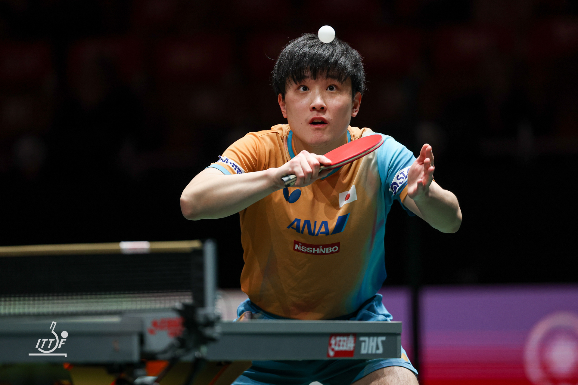 张本智和张本智和2025成都混团世界杯 Day5 第二阶段循环赛 日本vs德国 