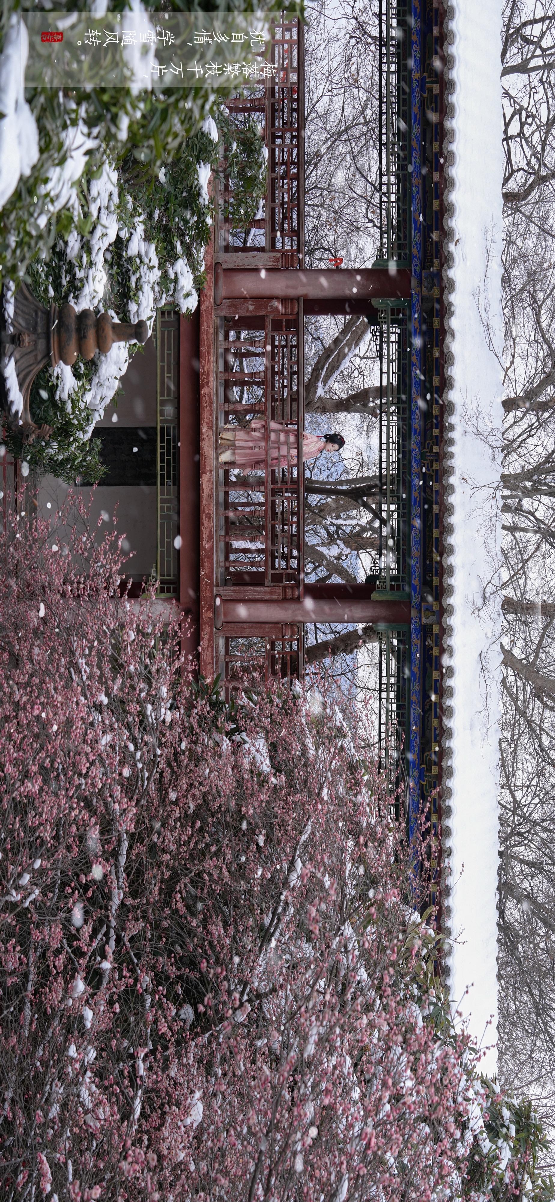 雪落下的声音。