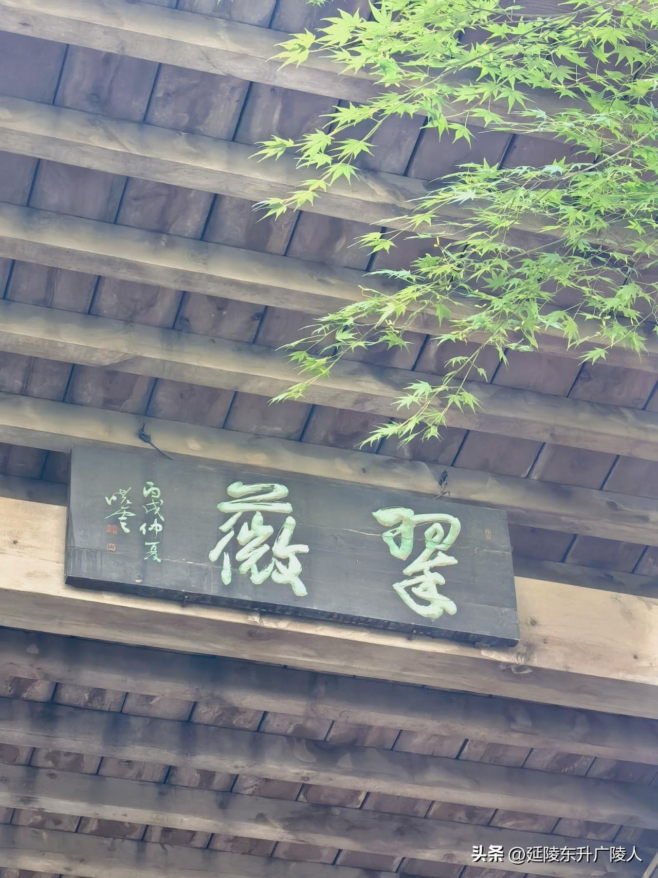 红梅公园里翠薇台上闲坐，
蝉噪林逾静，心静自然凉。