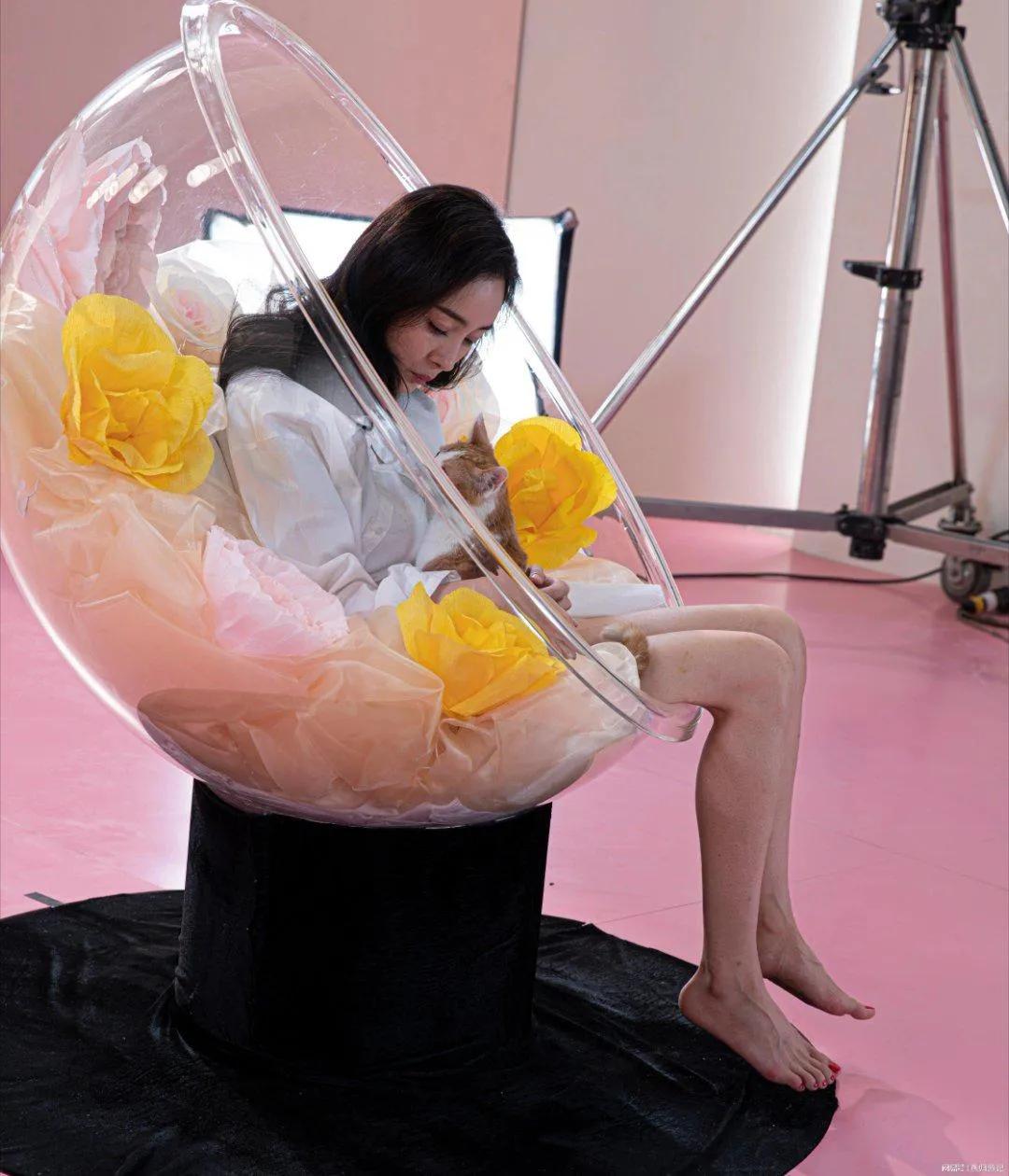 杨幂最新生图曝光 ，没有修图依然抗打，她身穿白色衬衫，波浪卷长发披肩，抱着猫咪笑