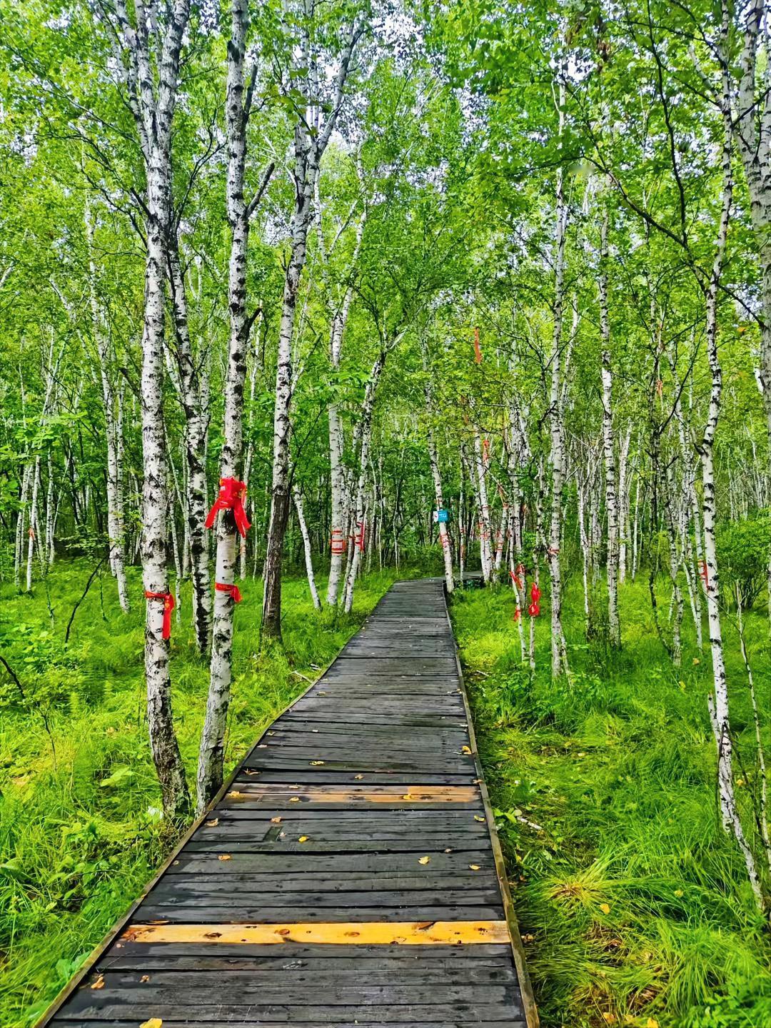 人到四十
慢下来
反而更从容

人到中年
身边人渐渐分层
压力也跟着来
上有老下