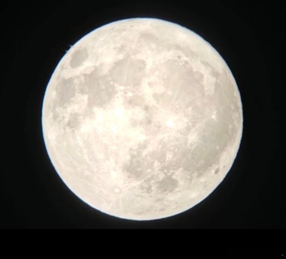 同一个月亮同一份合家团圆祝白菊和生命树剧组顺顺利利 ​​​