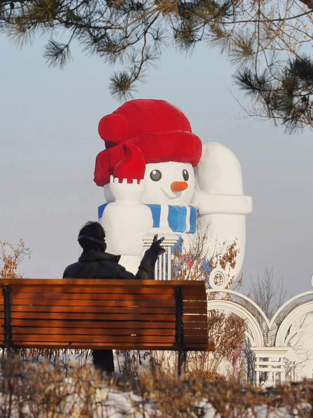 哈尔滨旅游的后劲好大！不踩雷攻略请收好