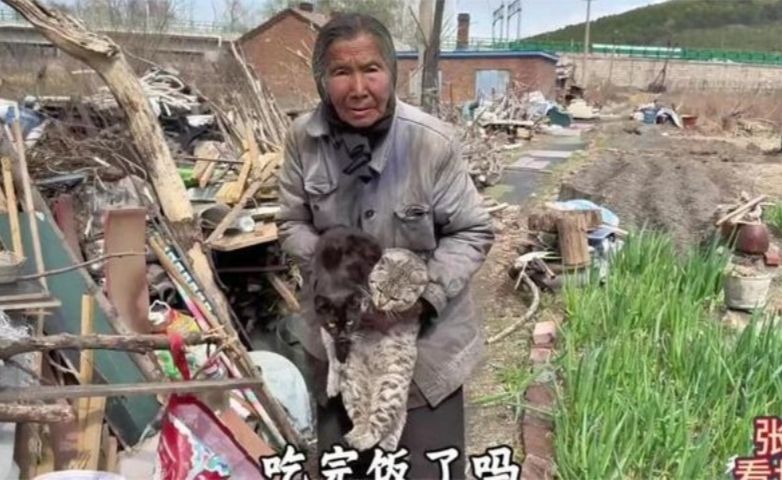 一个女人，带着84岁老母亲，救助了几百只流浪动物。真不容易！