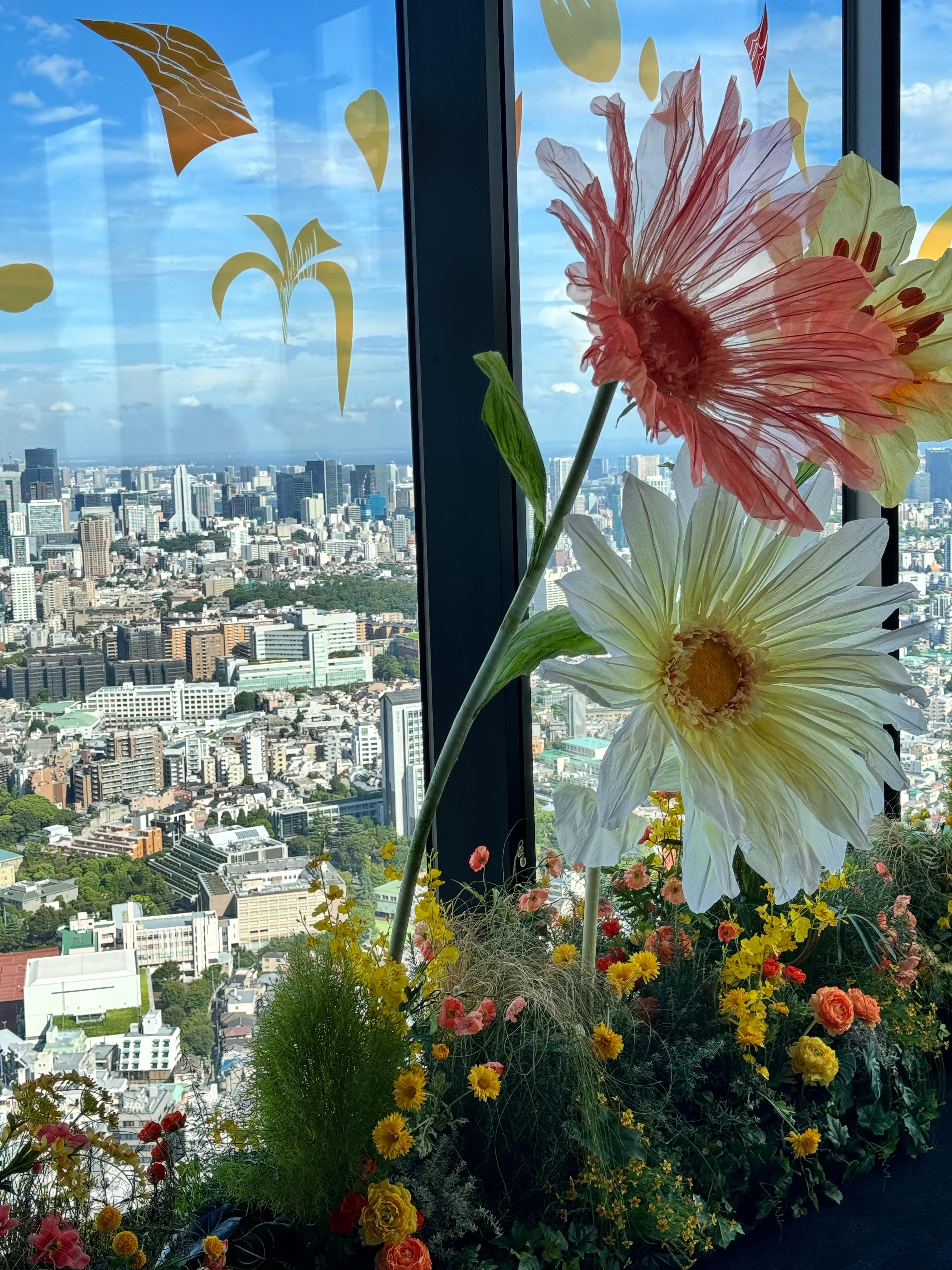 Tokyo  ​​​