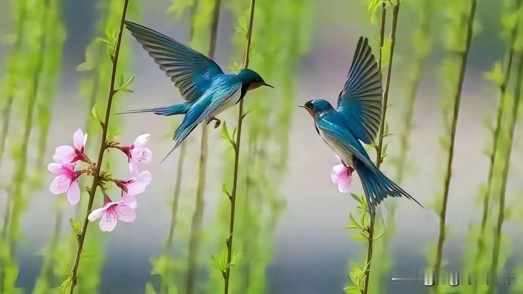 鹧鸪天·入头条七载感怀

笔底生风游锦屏，
推敲平仄竞诗声。
七年沉醉头条梦，