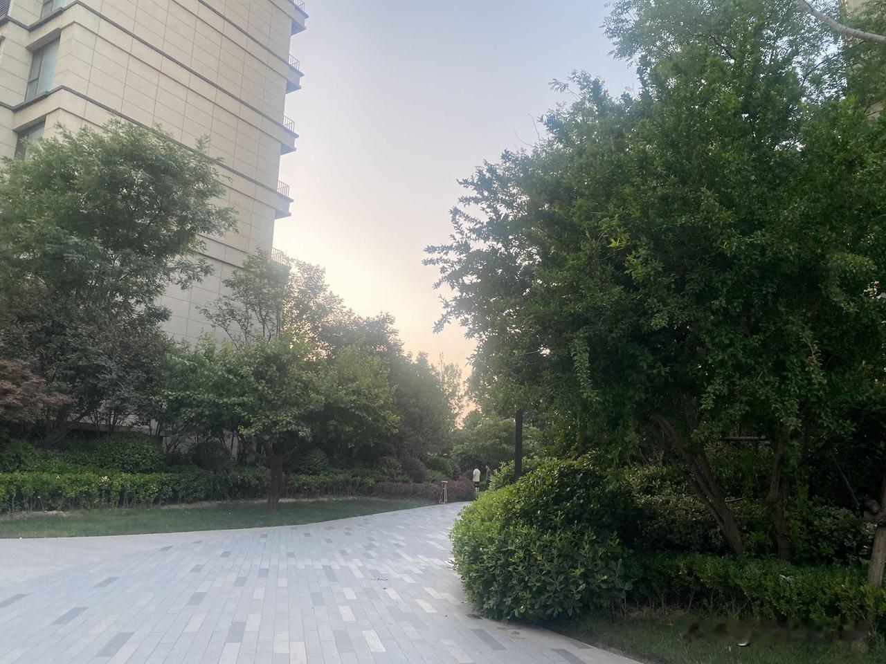 真心话茶局悠闲漫步在绿意盎然的小径上，享受都市中的宁静时光。
