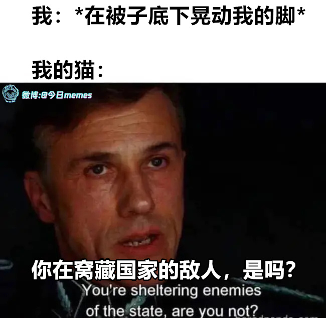 隔山打牛（9gag）今日meme今日memes
