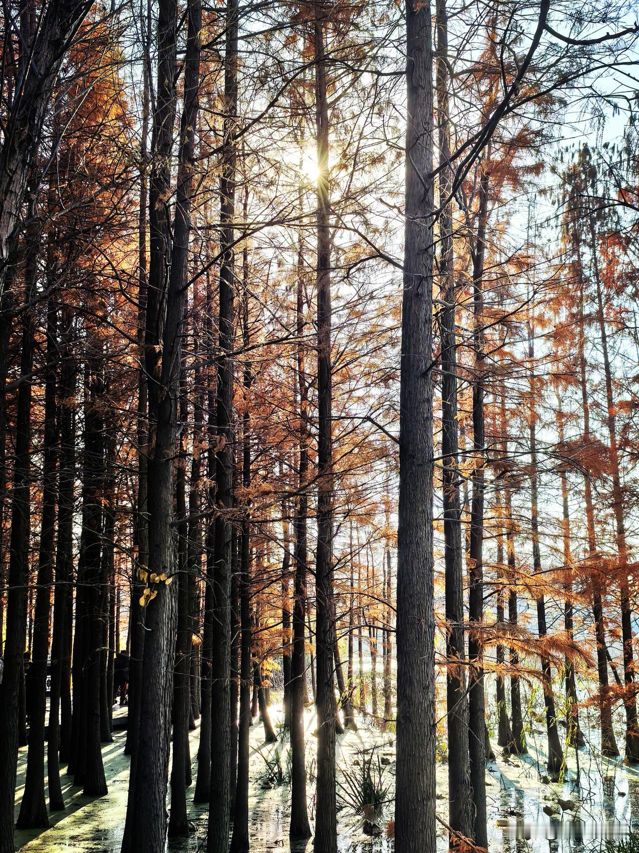 冬日生活打卡季