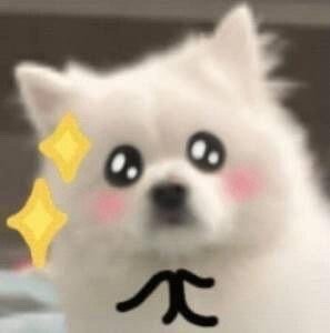 #谢娜 小伙子今晚挺开朗的哇#好甜 该说不说 又磕到了 ​​​